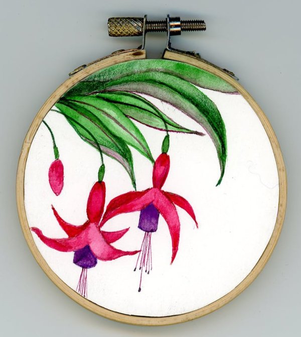 FUCSIA