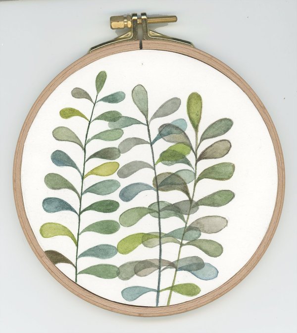 PLANTITAS