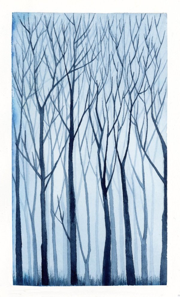 BOSQUE AZUL