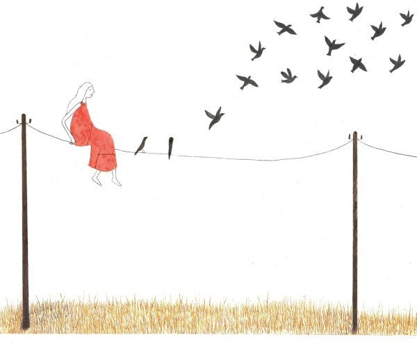 ¡A VOLAR!